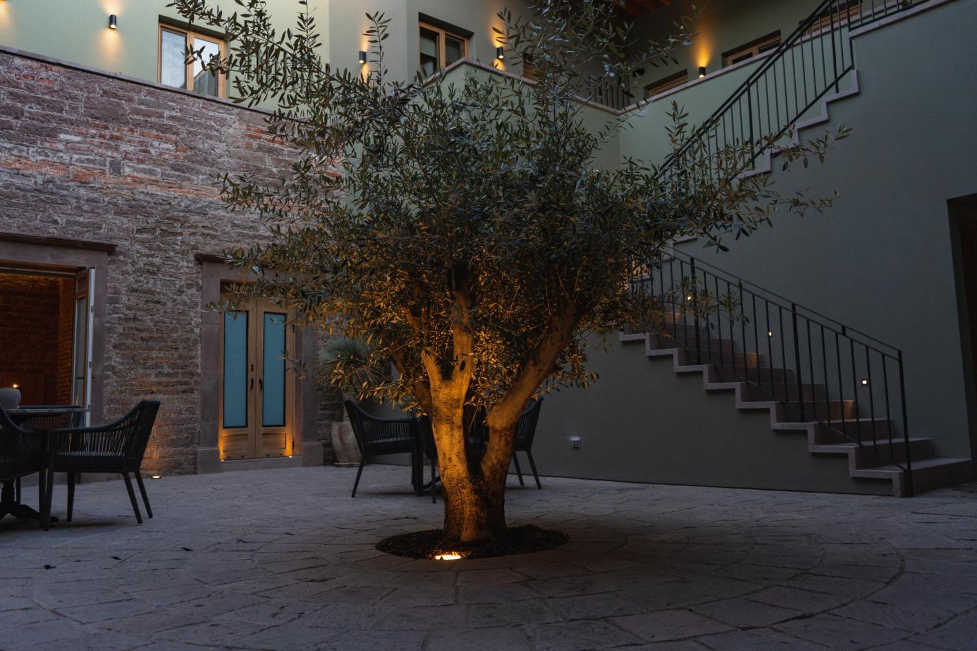 Hotel Casa Aranzazu San Luis Potosí Exteriör bild